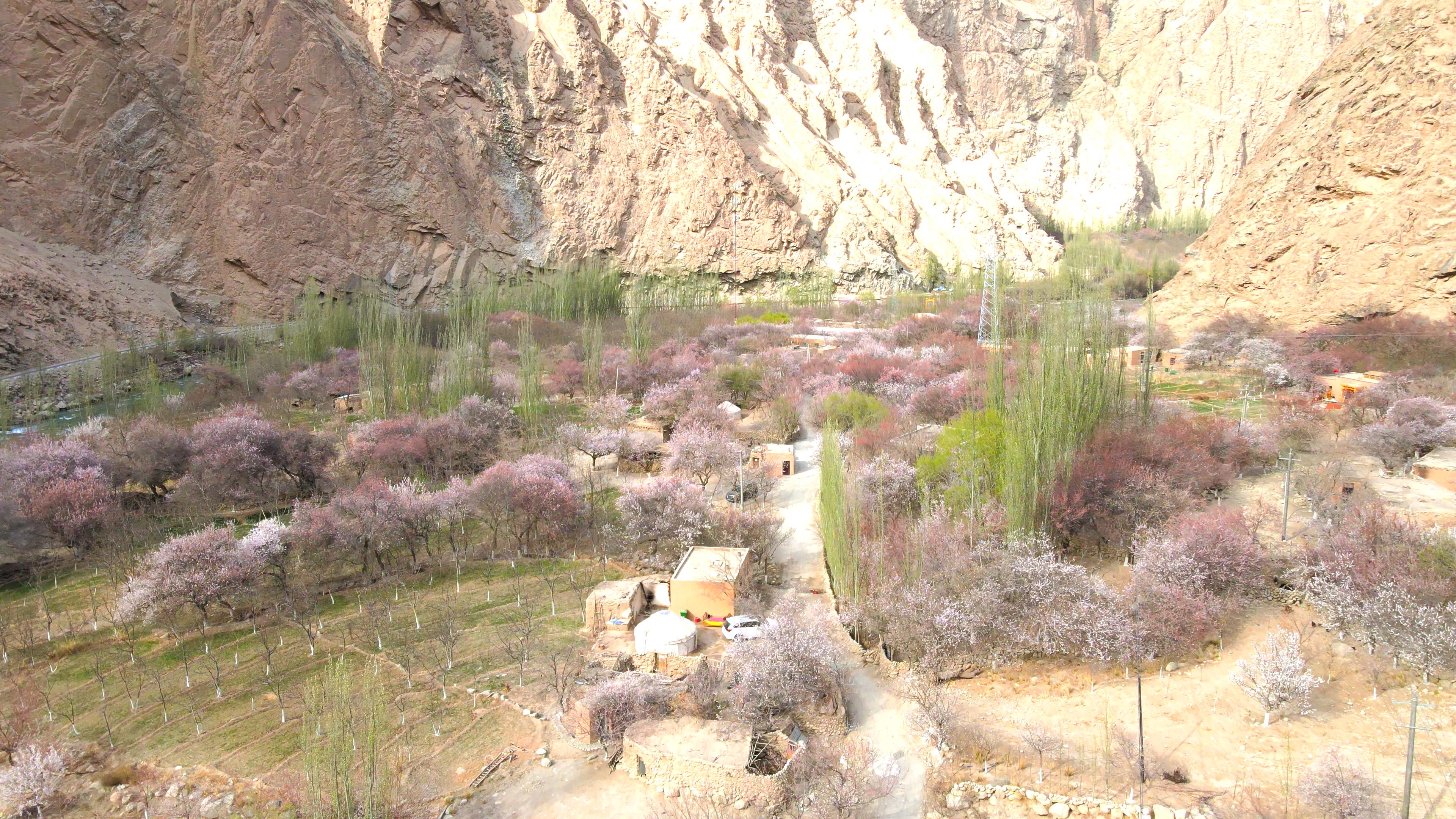 1月 新疆旅游_1月新疆旅游