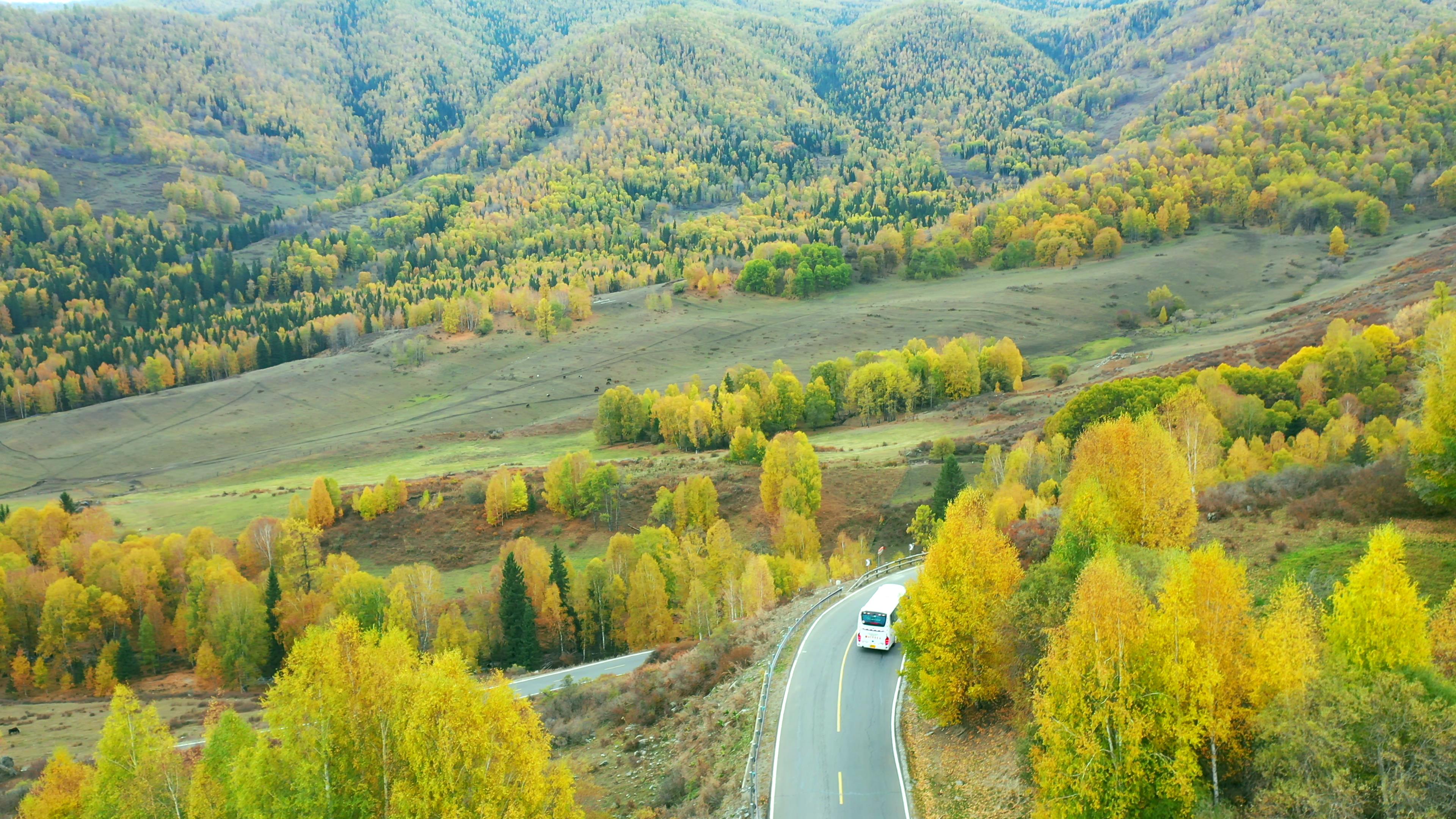 1月去喀什旅游路线多少钱_去喀什旅游攻略和费用是多少