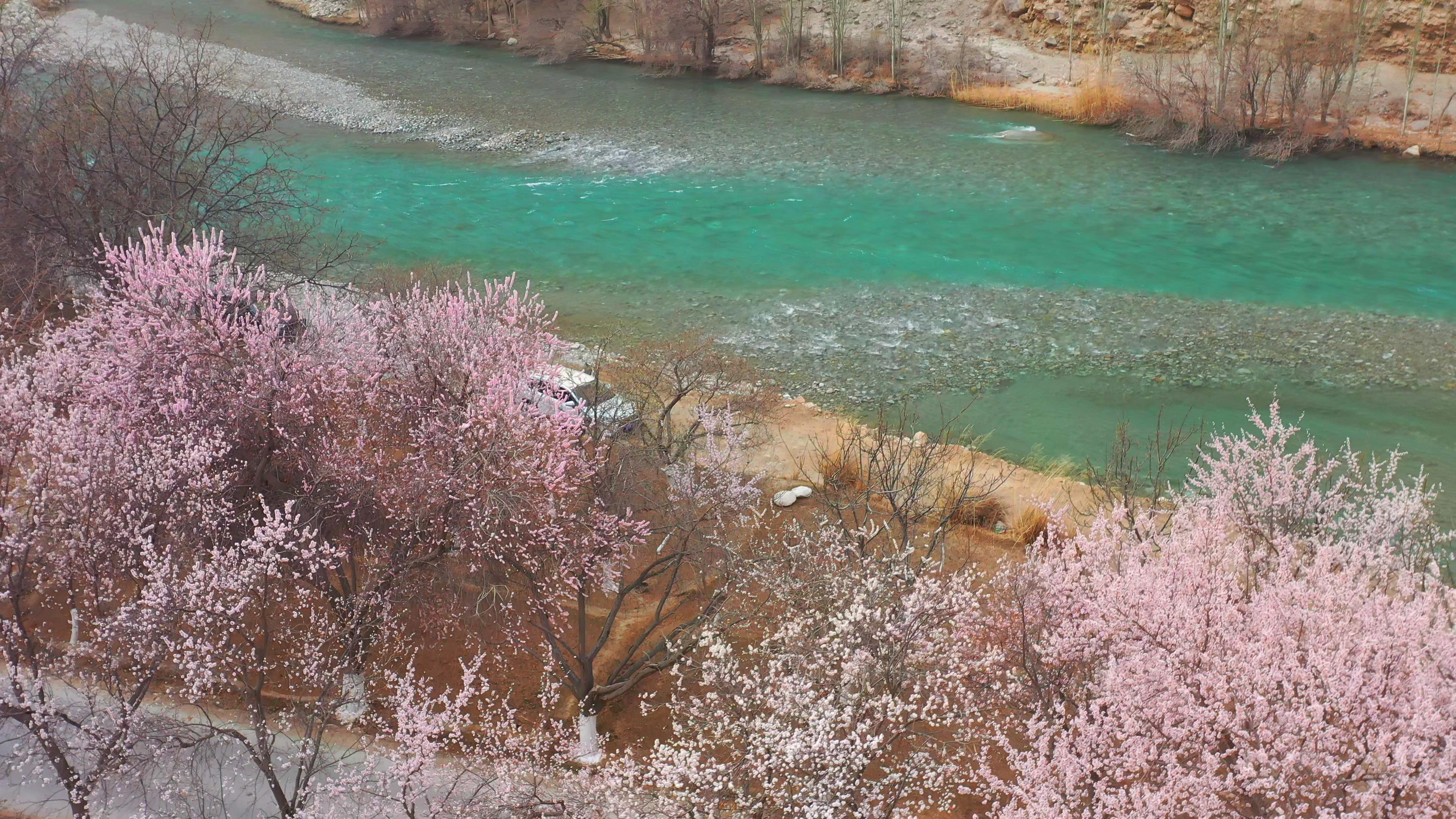 1月份去喀什旅游价格_1月份去喀什旅游价格多少