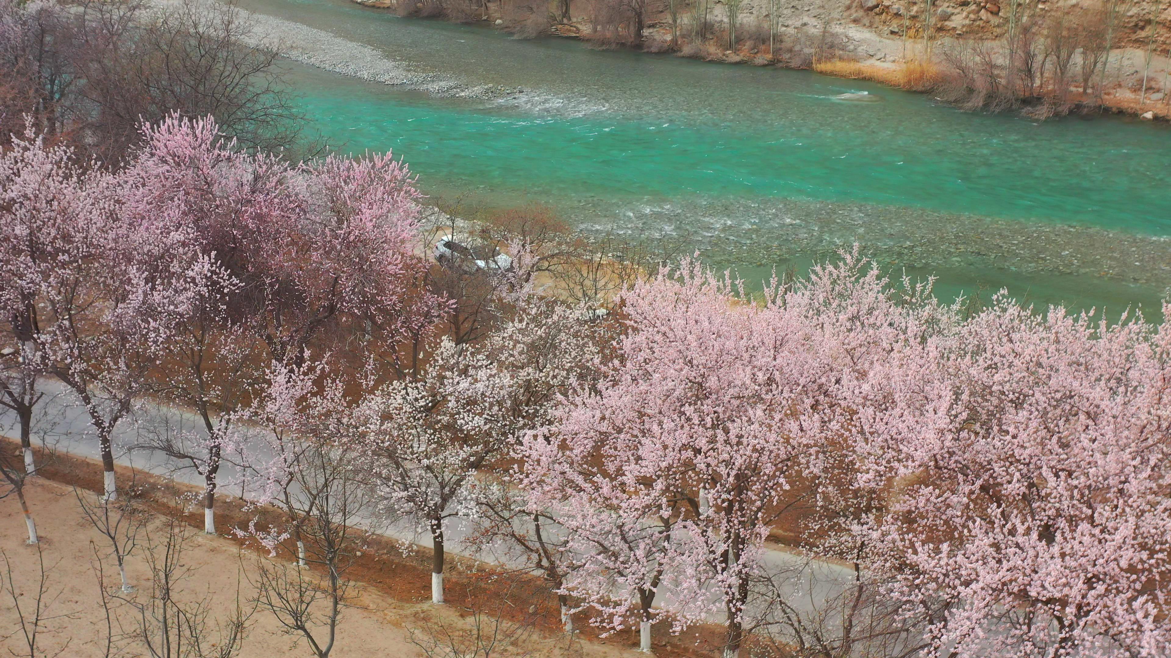 1月份新疆北疆跟团旅游价格_疆北旅游几天zui好