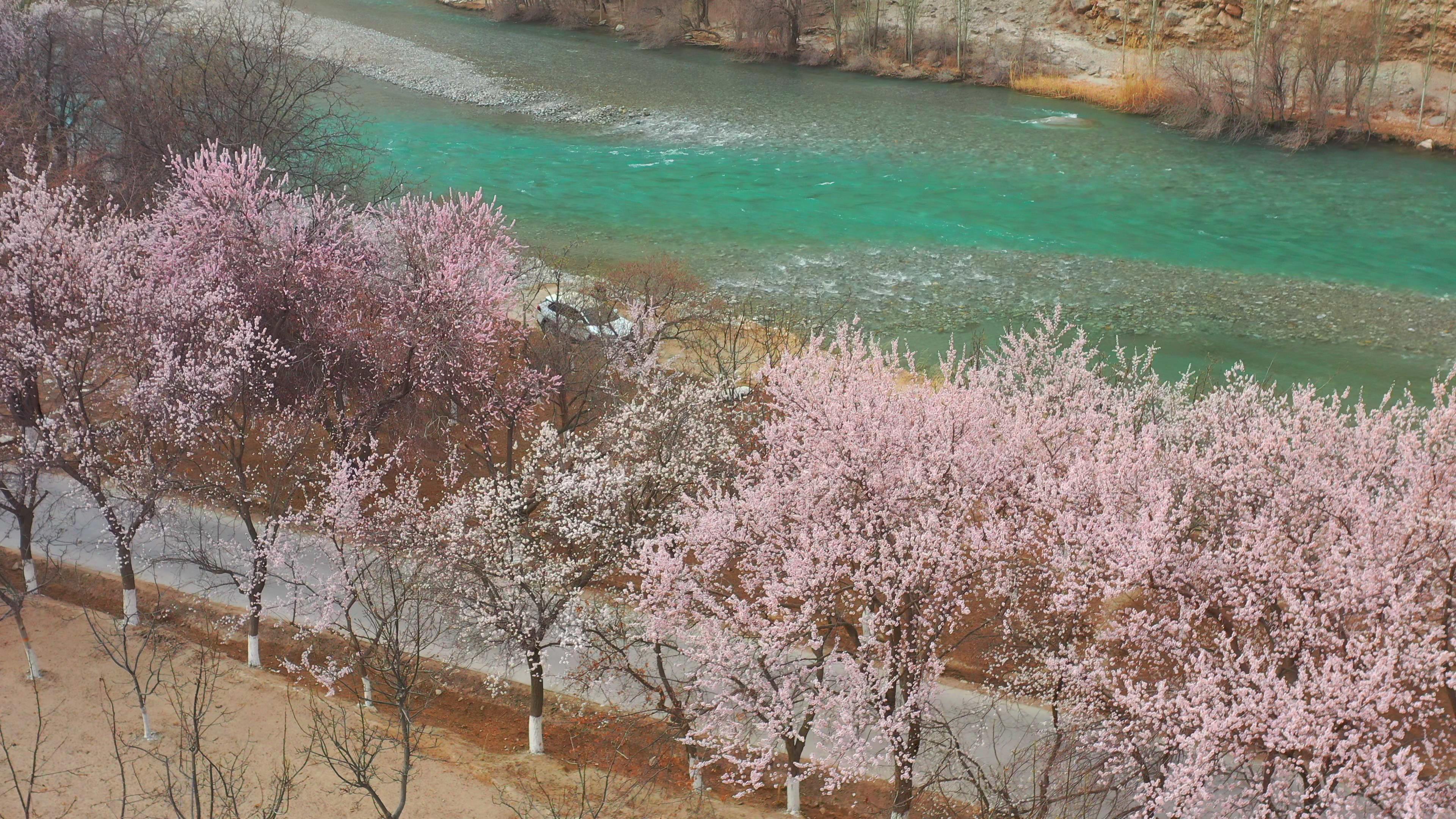 1月份新疆南疆旅游团_新疆南彊旅游