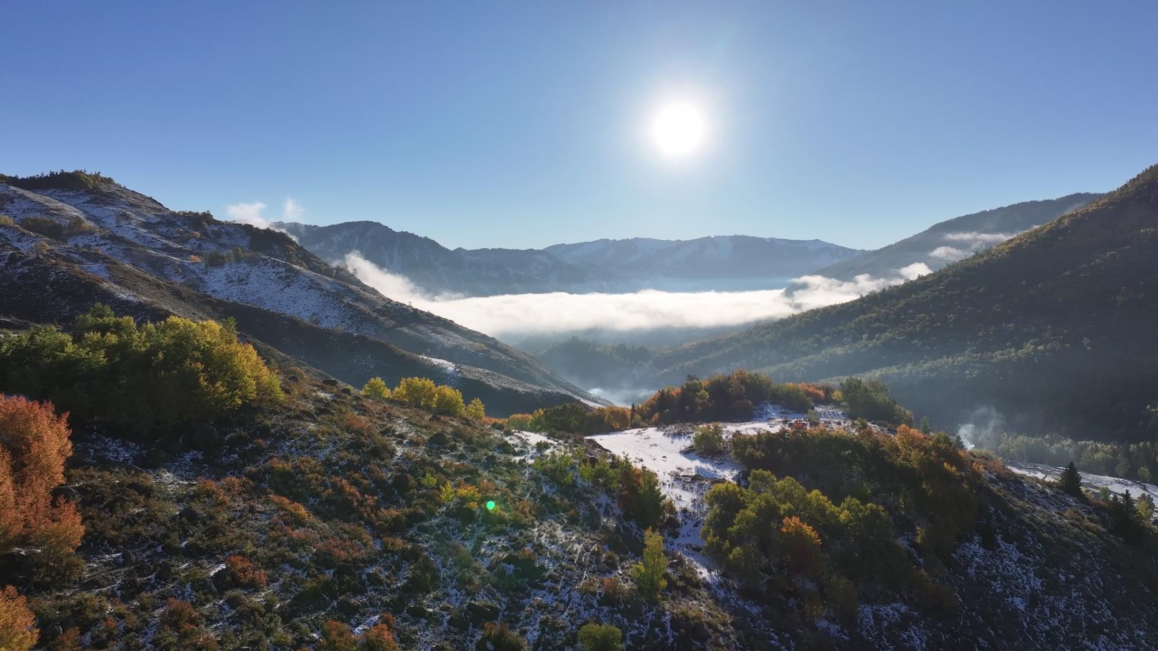 1月份伊犁适合旅游吗_1月份伊犁适合旅游吗现在