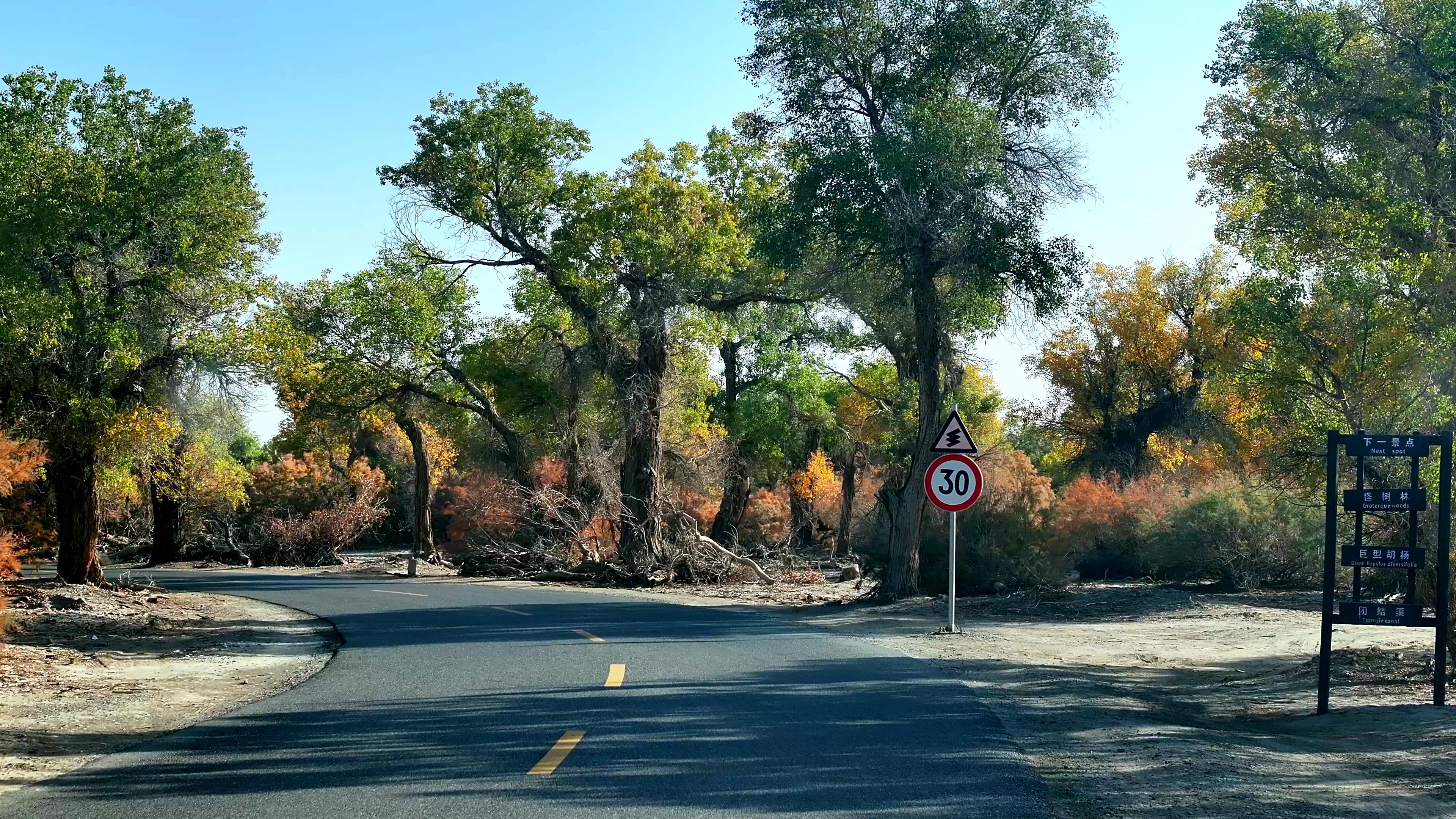 1月去喀什旅游路线_1月去喀什旅游路线图