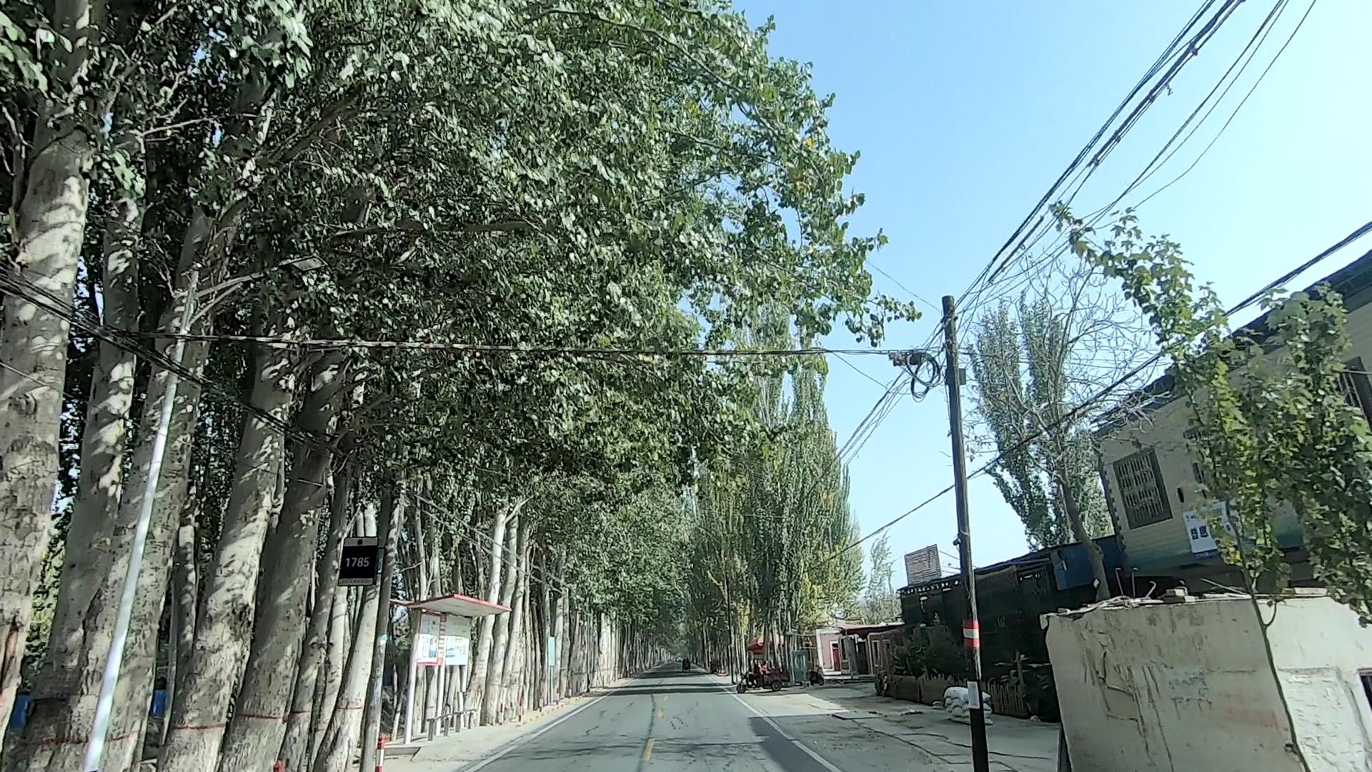 1月份去新疆旅游zui好_1月份去新疆旅游zui好的地方
