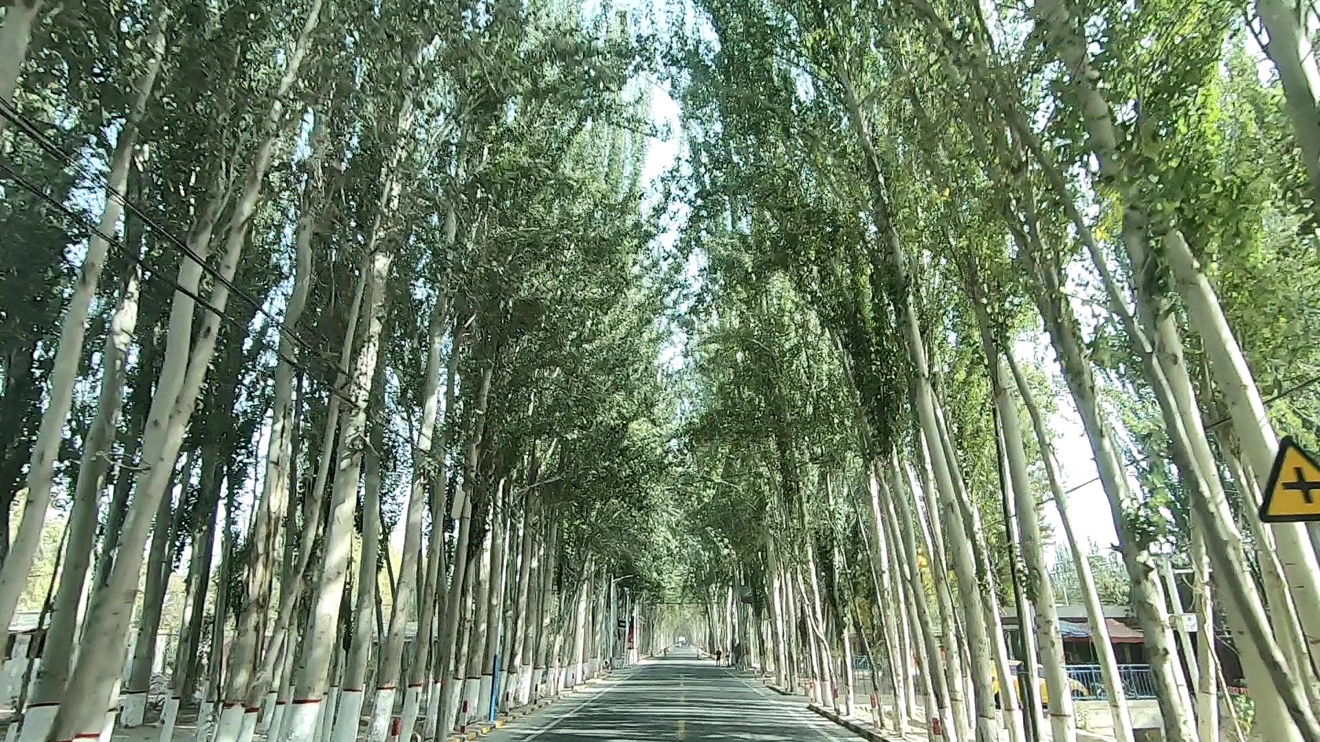 1月那拉提旅游价格_1月那拉提旅游价格多少